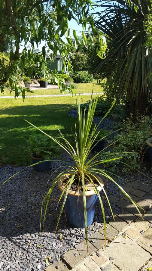 The White Dove Bed And Breakfast With Glamping Newark Showground エクステリア 写真