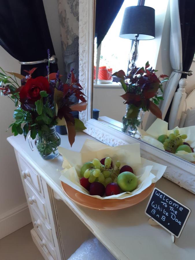 The White Dove Bed And Breakfast With Glamping Newark Showground エクステリア 写真