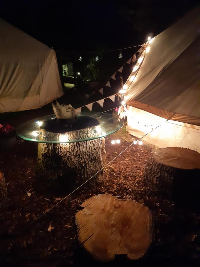 The White Dove Bed And Breakfast With Glamping Newark Showground エクステリア 写真
